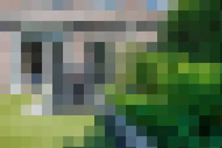 Wagenmaker 12 Beuningen Gld thumbnail 44
