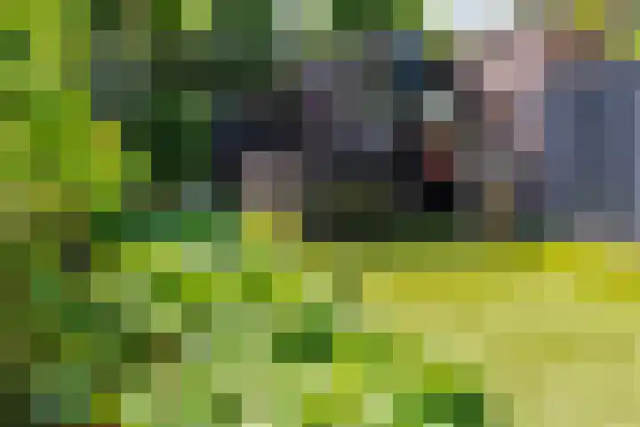 Wagenmaker 12 Beuningen Gld thumbnail 45