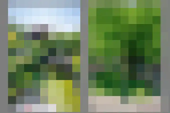 Wagenmaker 12 Beuningen Gld thumbnail 48