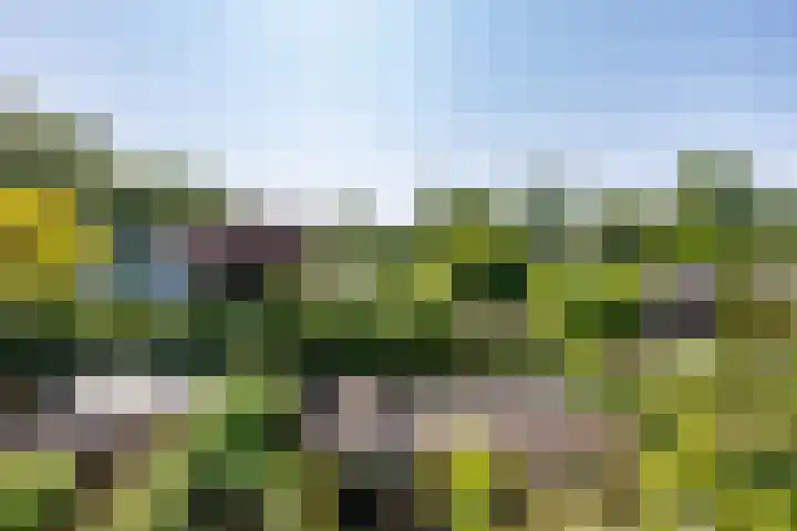 Wagenmaker 12 Beuningen Gld thumbnail 49