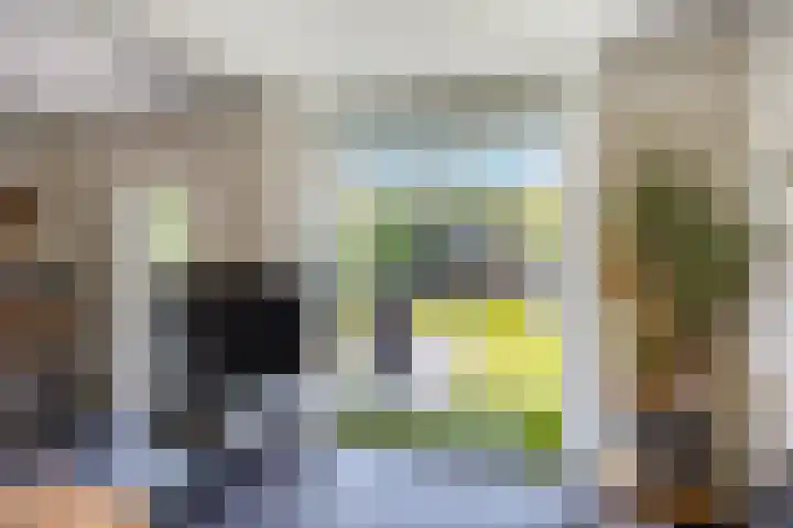 Wagenmaker 12 Beuningen Gld thumbnail 5