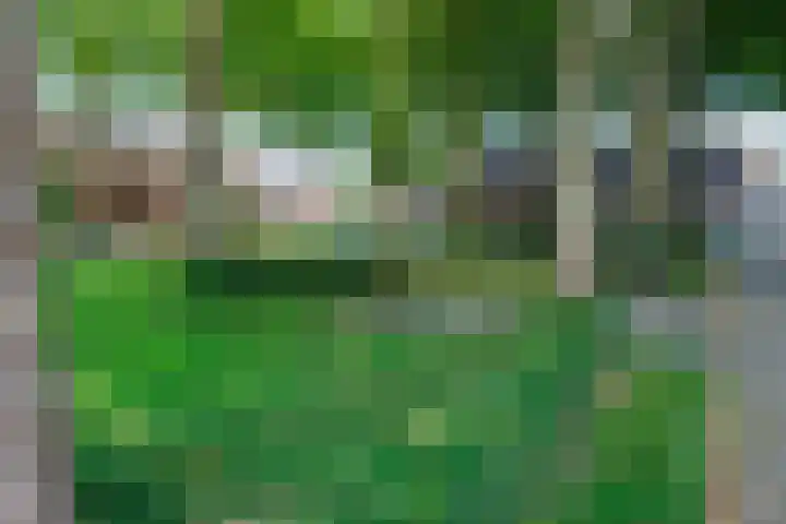 Wagenmaker 12 Beuningen Gld thumbnail 54