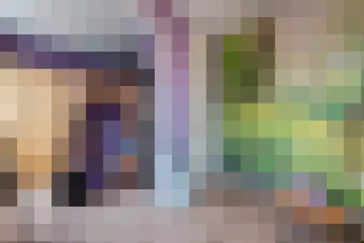 Wagenmaker 148 Wijchen thumbnail 18