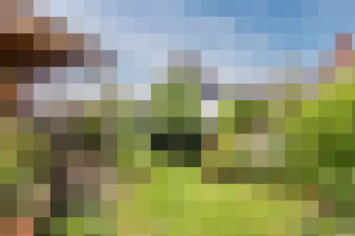 Wagenmaker 148 Wijchen thumbnail 29