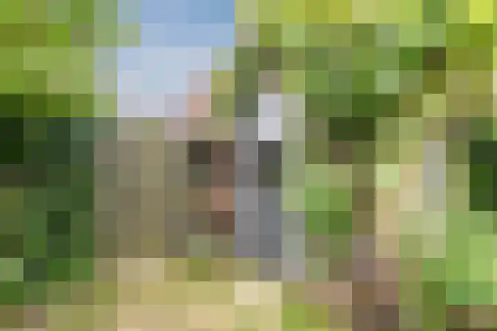 Wagenmaker 148 Wijchen thumbnail 30