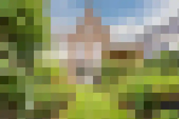 Wagenmaker 148 Wijchen thumbnail 31