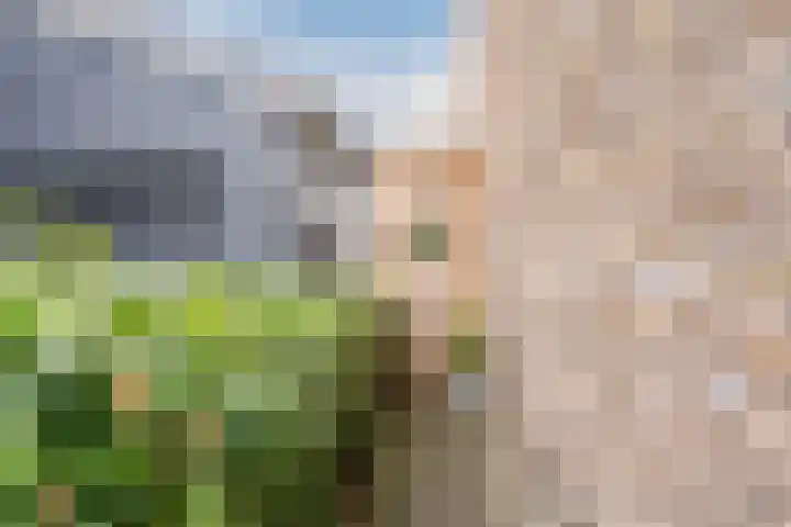 Wagenmaker 148 Wijchen thumbnail 32