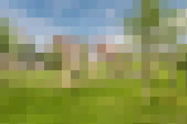 Wagenmaker 148 Wijchen thumbnail 35