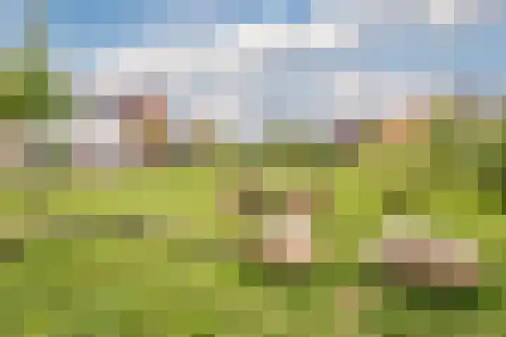 Wagenmaker 148 Wijchen thumbnail 36