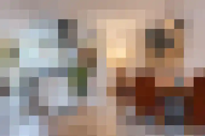 Wagenmaker 148 Wijchen thumbnail 4