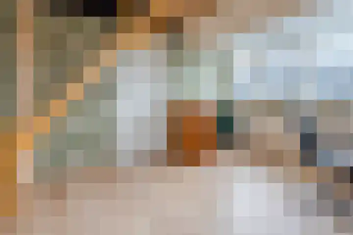 Wagenmaker 148 Wijchen thumbnail 5