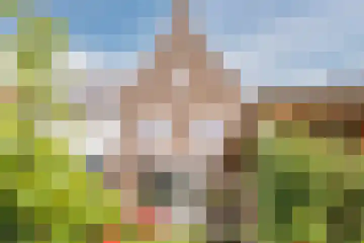 Wagenmaker 148 Wijchen thumbnail 6