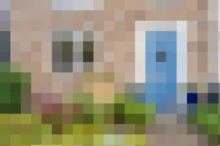 Wagenmaker 148 Wijchen thumbnail 8