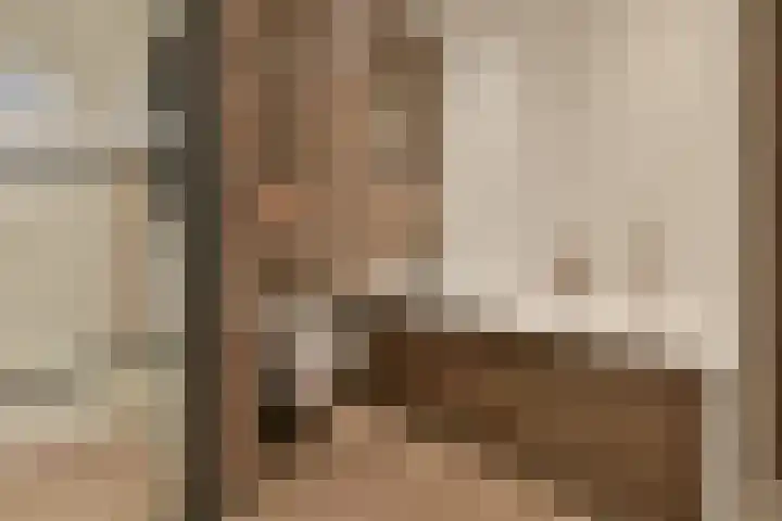 Wagenmaker 4 Wilnis thumbnail 17
