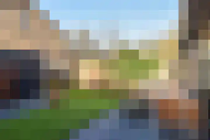 Wagenmaker 4 Wilnis thumbnail 23