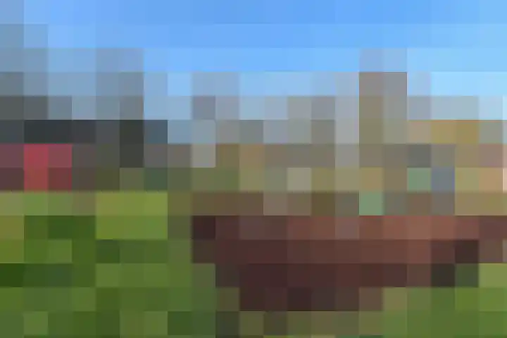 Wagenmaker 4 Wilnis thumbnail 26