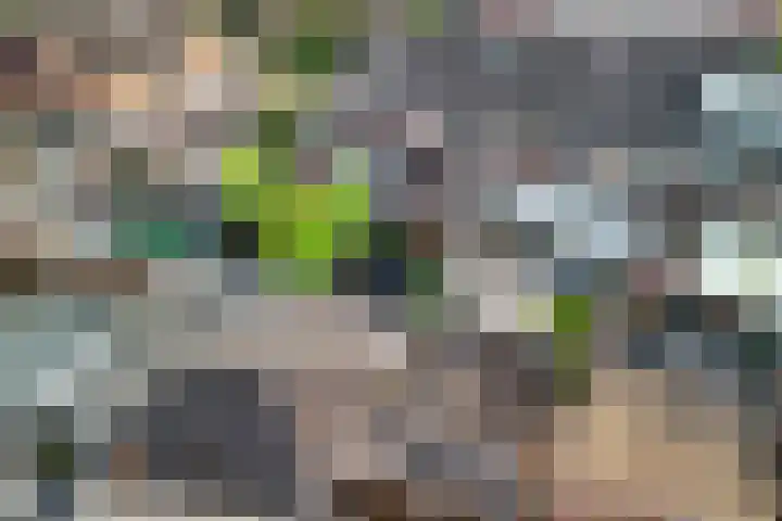 Wagenmaker 6 Rijssen thumbnail 24