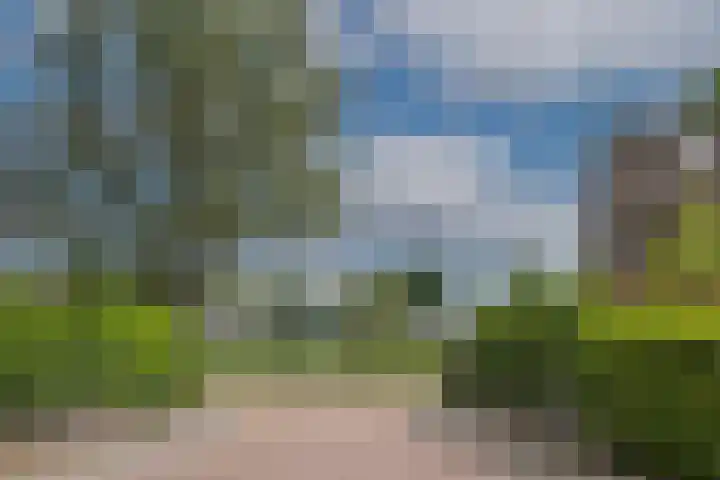 Wagenmaker 6 Rijssen thumbnail 25