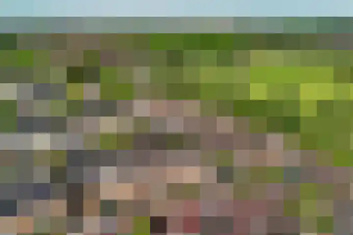Wagenmaker 6 Rijssen thumbnail 26