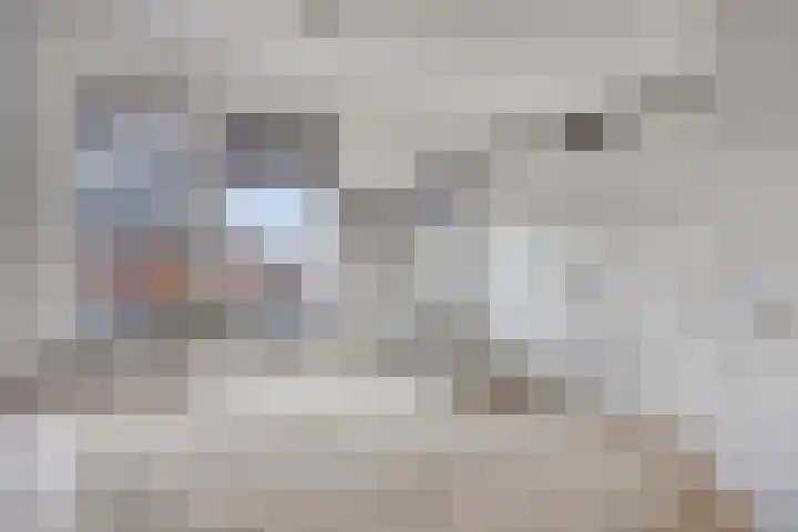 Wagenmaker 76 Wijchen thumbnail 12