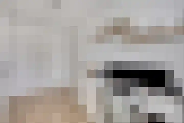 Wagenmaker 76 Wijchen thumbnail 17