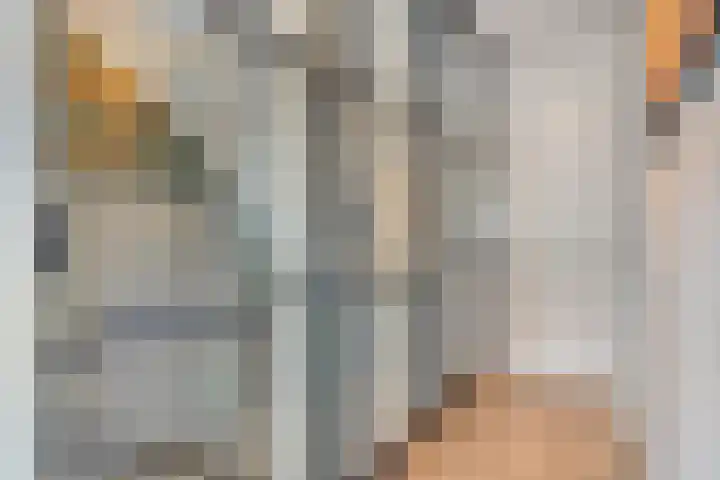 Wagenmaker 76 Wijchen thumbnail 18