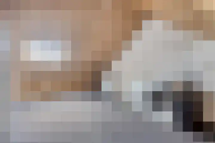 Wagenmaker 76 Wijchen thumbnail 19