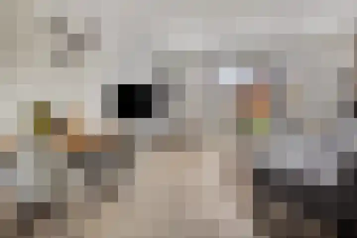 Wagenmaker 76 Wijchen foto 2