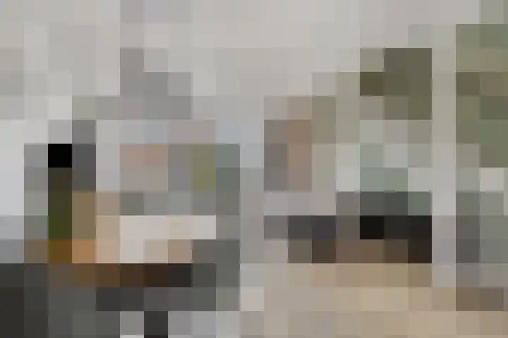 Wagenmaker 76 Wijchen foto 3