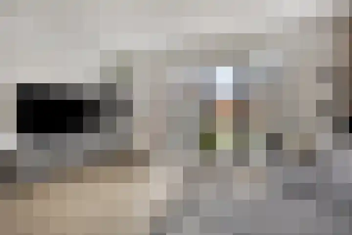 Wagenmaker 76 Wijchen thumbnail 4