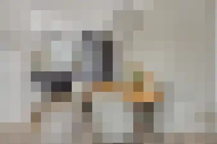 Wagenmaker 76 Wijchen thumbnail 8