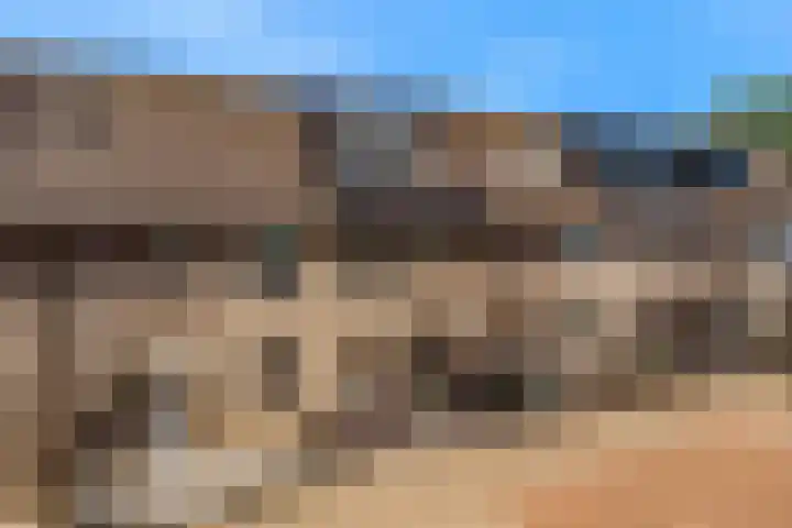 Wagenmaker 9 Leiderdorp