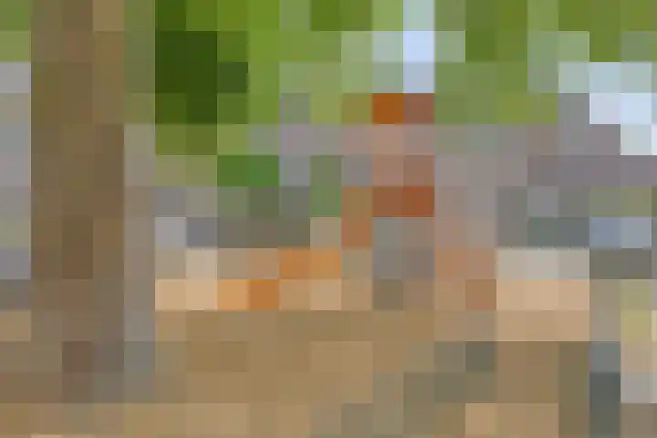 Wagenmakershoek 46 Lunteren thumbnail 27