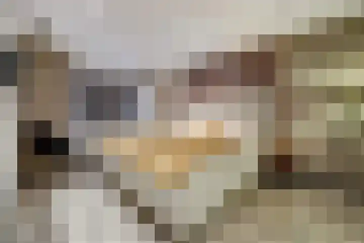 Wagenmakersstraat 38 Kerkdriel thumbnail 22