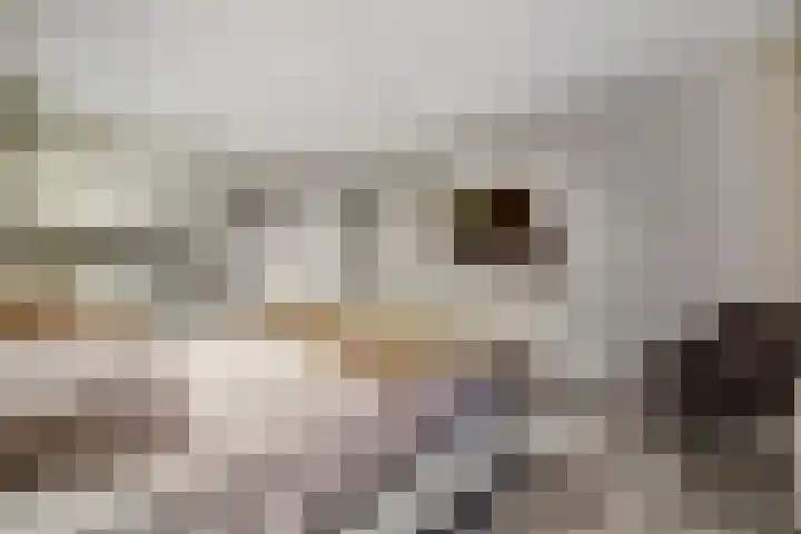 Wagenmakersstraat 38 Kerkdriel thumbnail 23