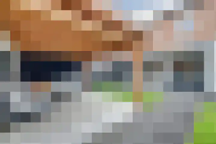 Wagenmakersstraat 38 Kerkdriel thumbnail 34