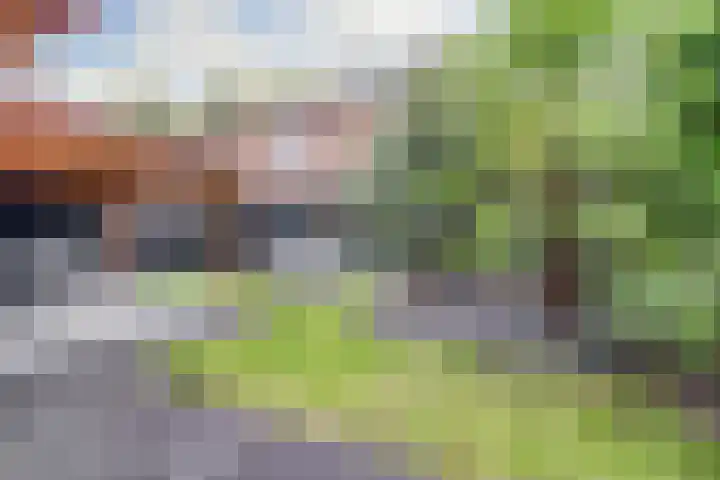 Wagenmakersstraat 38 Kerkdriel thumbnail 37