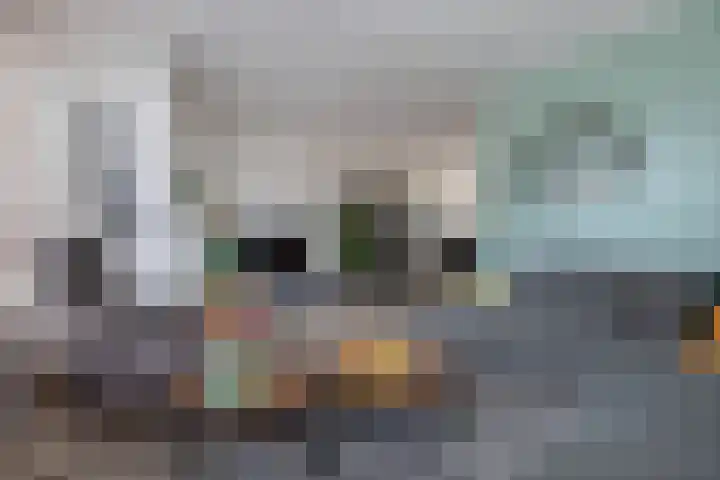Wagenman 8 Lemmer thumbnail 12