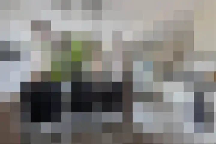Wagenman 8 Lemmer thumbnail 13