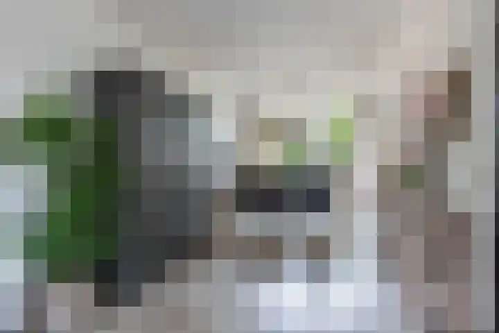 Wagenman 8 Lemmer thumbnail 14