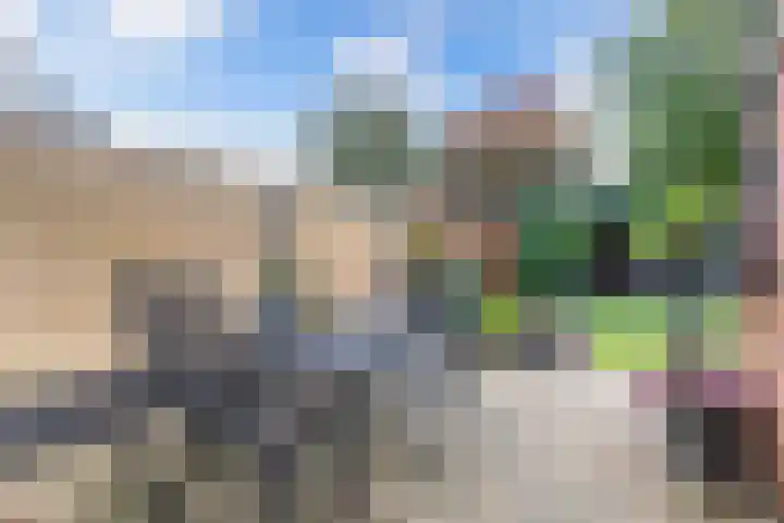 Wagenman 8 Lemmer thumbnail 20