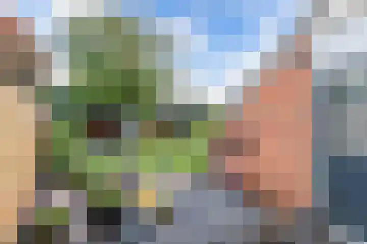 Wagenman 8 Lemmer thumbnail 21