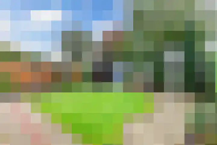 Wagenman 8 Lemmer thumbnail 22