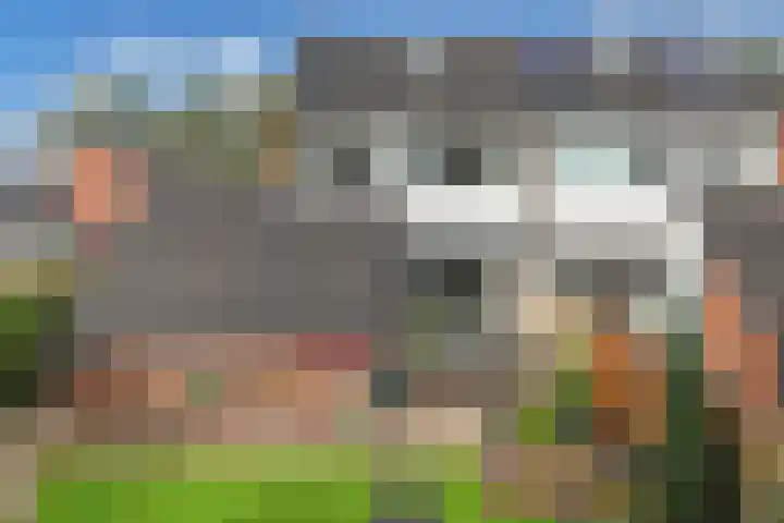 Wagenman 8 Lemmer thumbnail 27