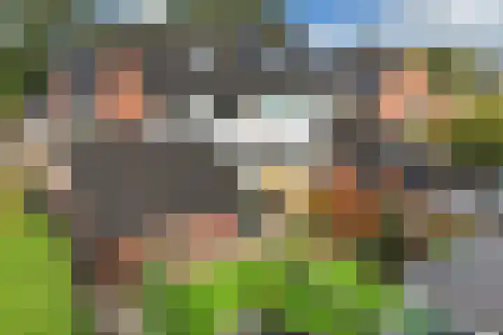 Wagenman 8 Lemmer thumbnail 28