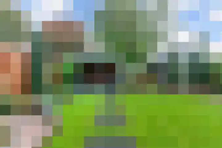 Wagenman 8 Lemmer thumbnail 4