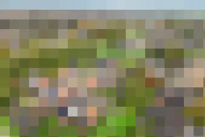 Wagenman 8 Lemmer thumbnail 5