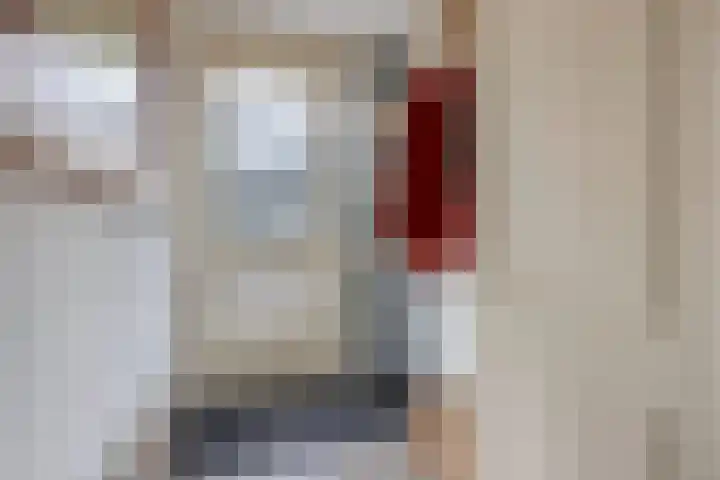Wagenman 8 Lemmer thumbnail 7