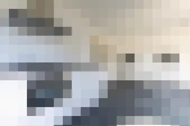 Wagenpad 19 Laren thumbnail 14