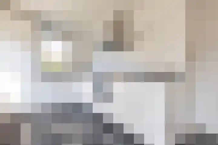 Wagenpad 19 Laren thumbnail 15